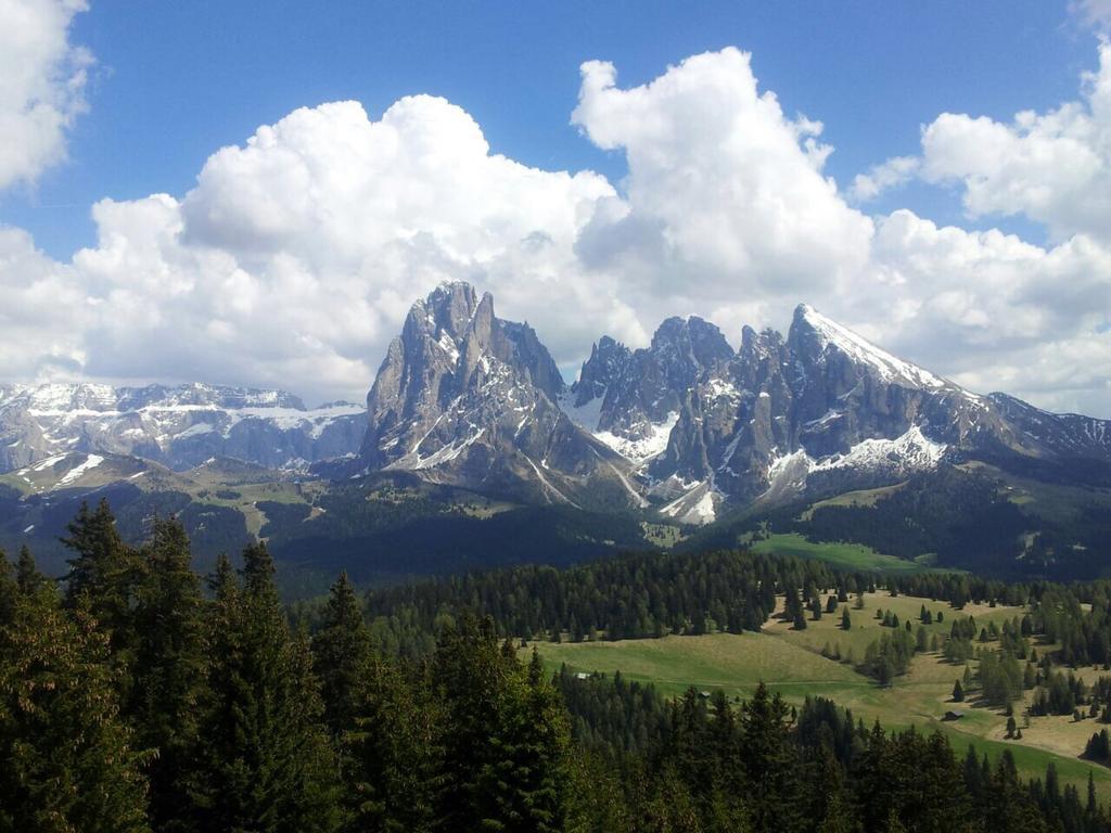 Garni Crepaz Panzió Selva di Val Gardena Kültér fotó